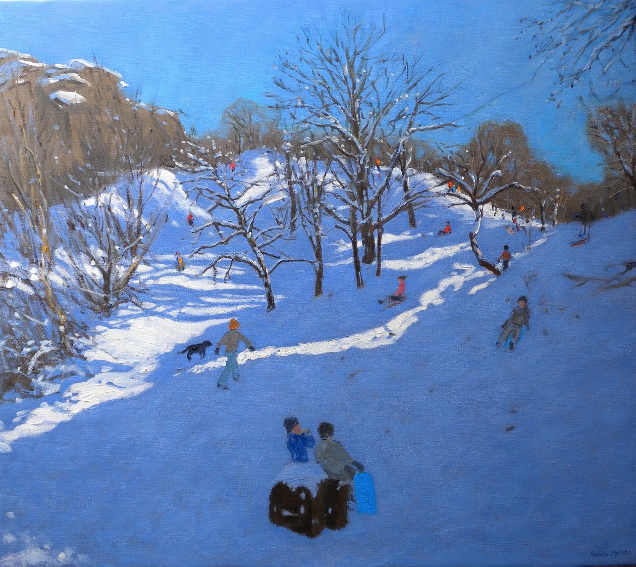 Manhã brilhante em rochas negras, Derbyshire, 2009 de Andrew Macara