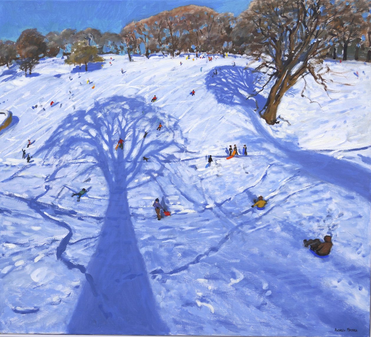 Chatsworth, sombras da árvore de inverno, 2013, de Andrew Macara