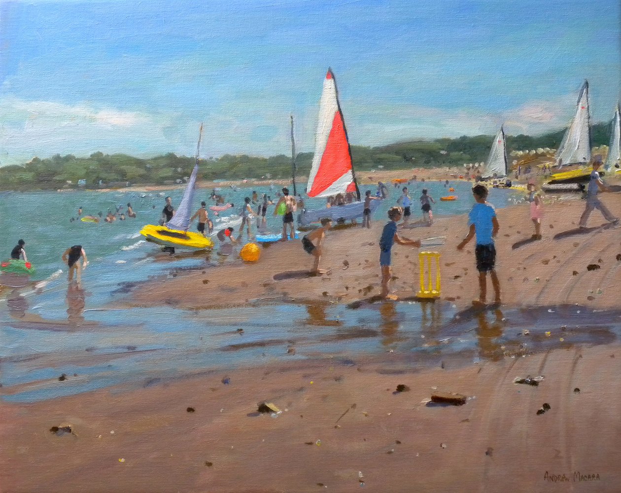 Críquete, 2011 de Andrew Macara
