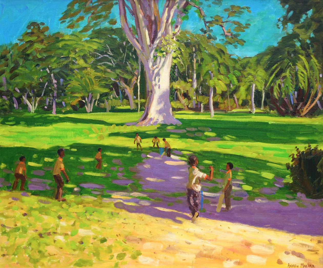 Jogo de críquete, Jardins Botânicos, Dominica, Grenadines.2011, de Andrew Macara