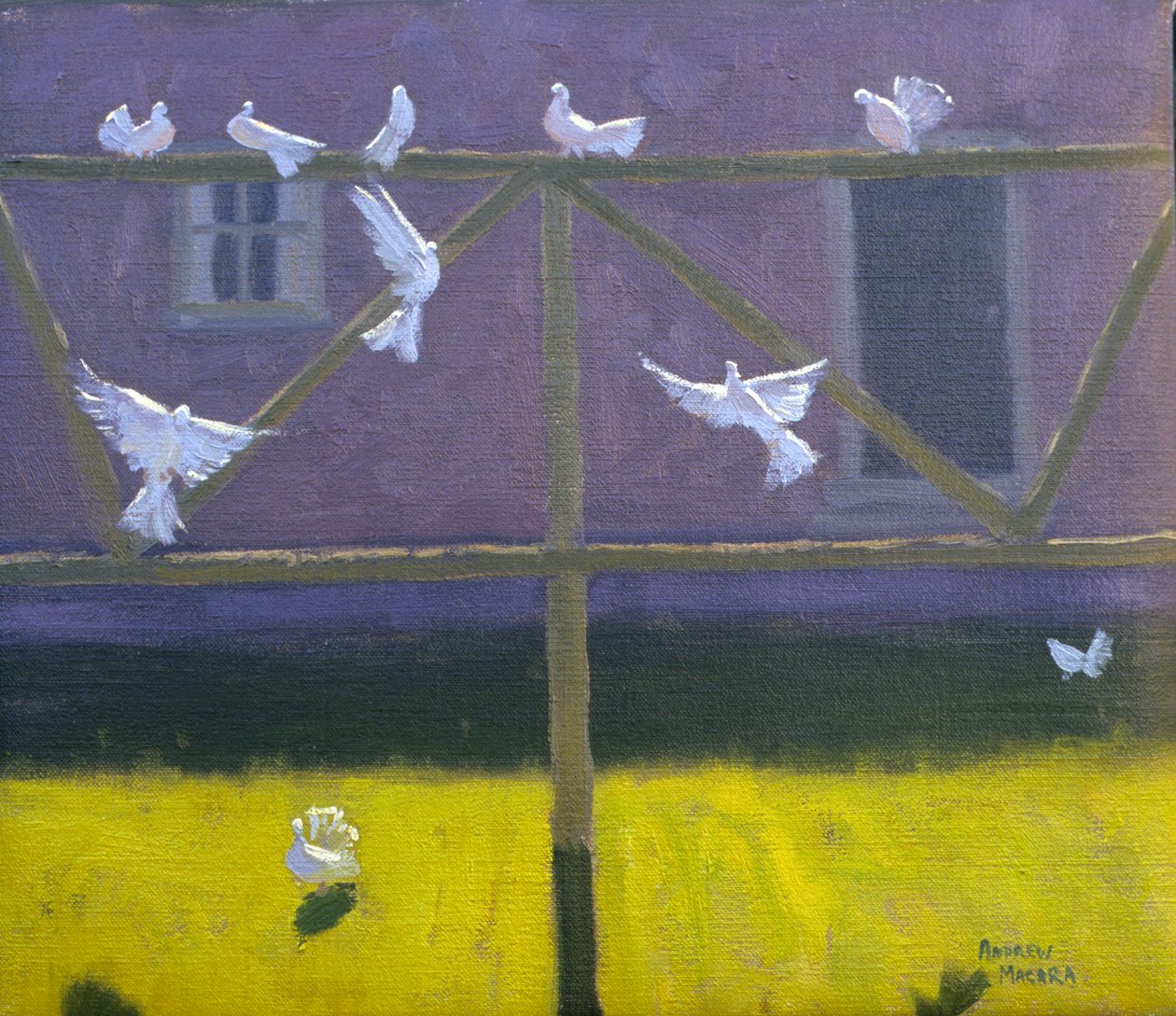 Doves, 1999 de Andrew Macara