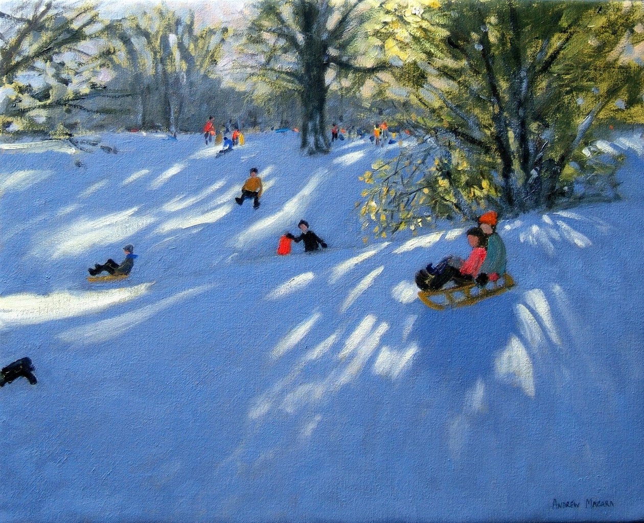 Cedo, neve, darley, parque, derby de Andrew Macara