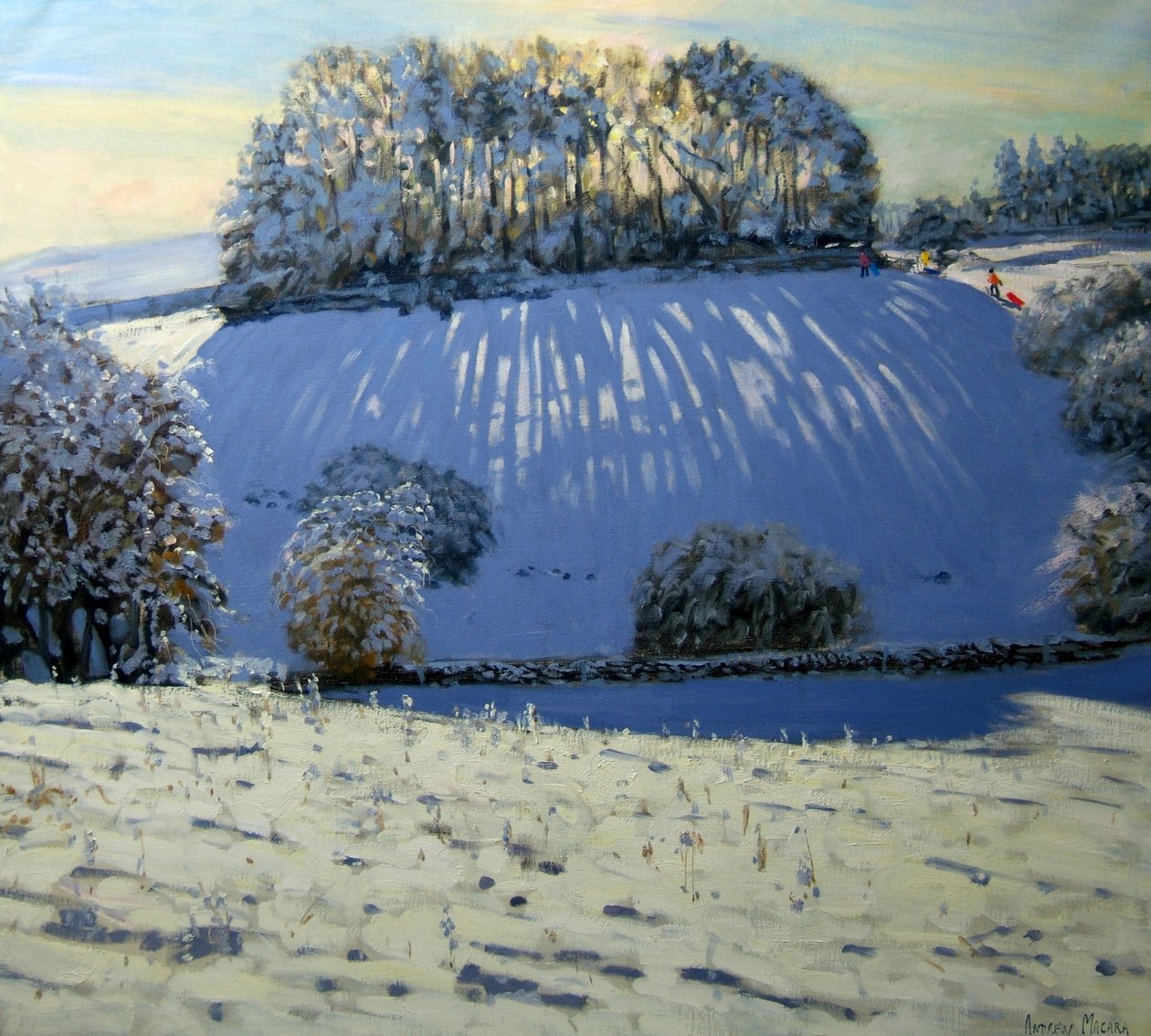 Campo de sombras, perto de Youlgrave, Derbyshire de Andrew Macara