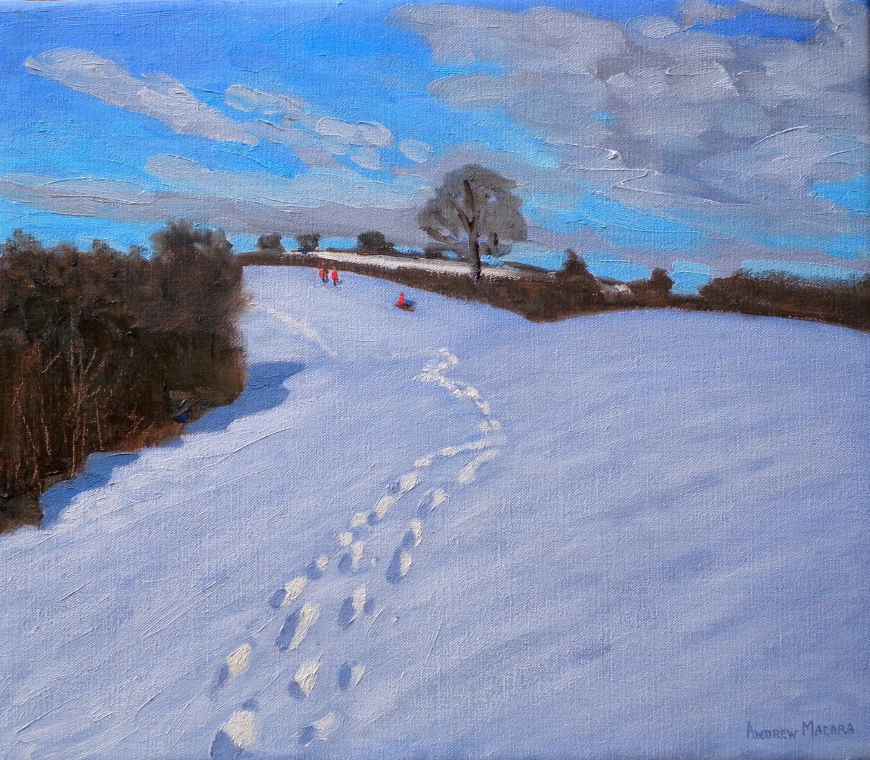 Pegadas na Neve, 2009 de Andrew Macara