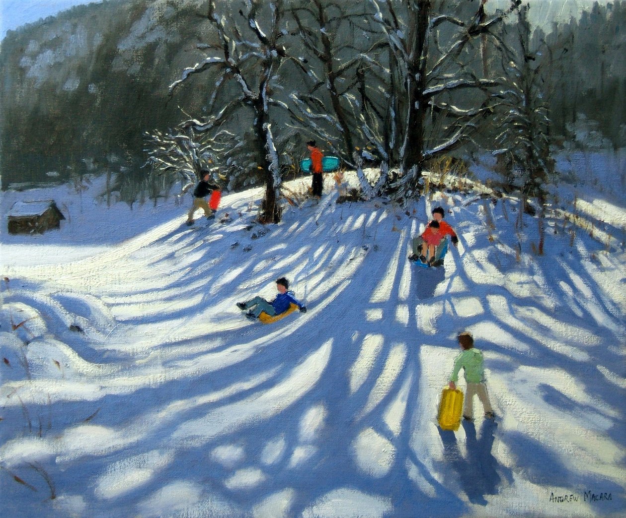 Diversão na neve, Morzine, França de Andrew Macara