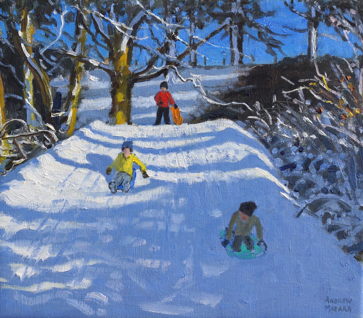 Diversão na neve, lavagem verde, Derbyshire, 2014, de Andrew Macara