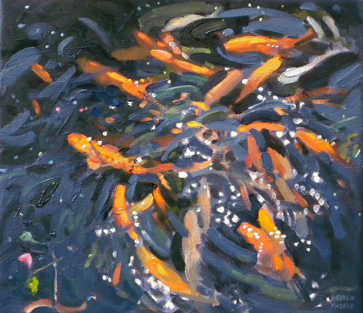 Peixinho Dourado, 2010 de Andrew Macara