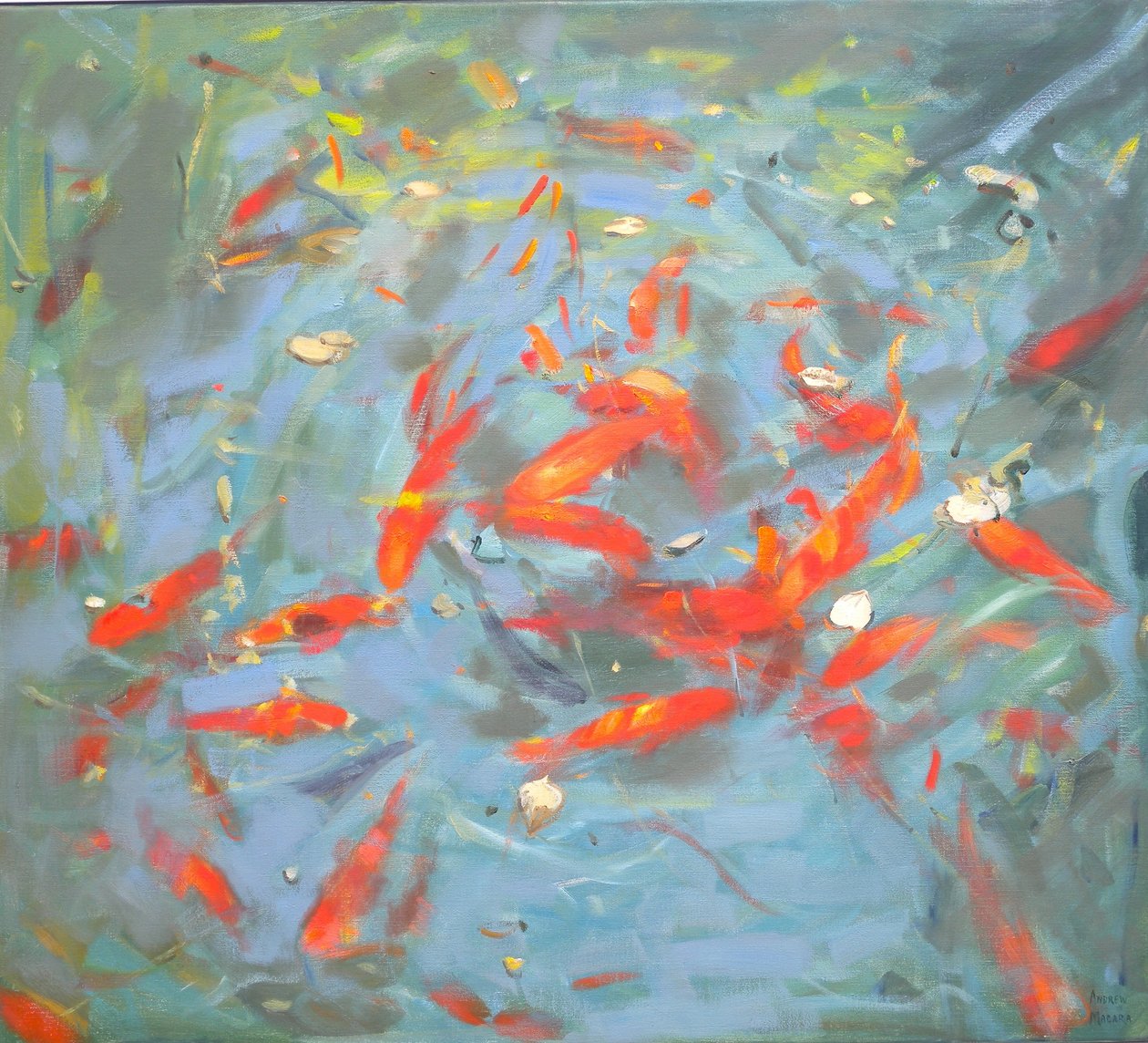 Peixinho Dourado, 2010, de Andrew Macara