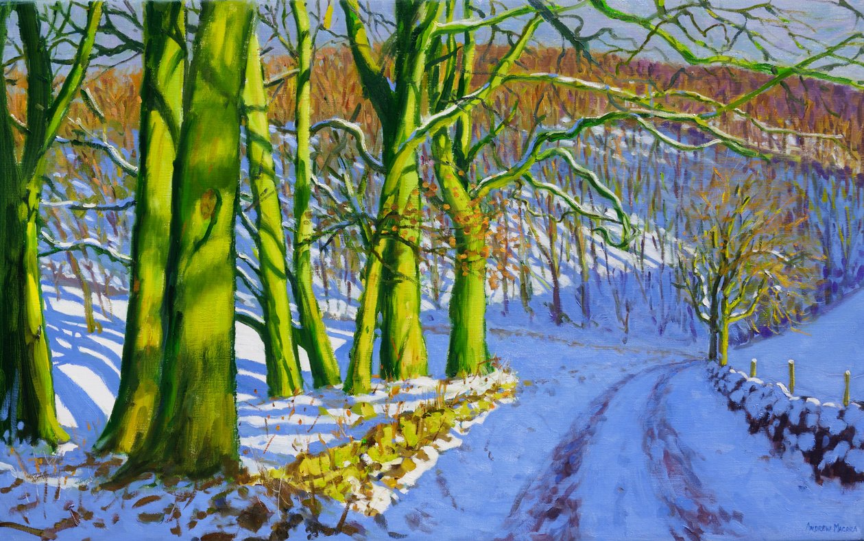 Árvores Verdes, Inverno, Dam Lane, Derbyshire, de Andrew Macara