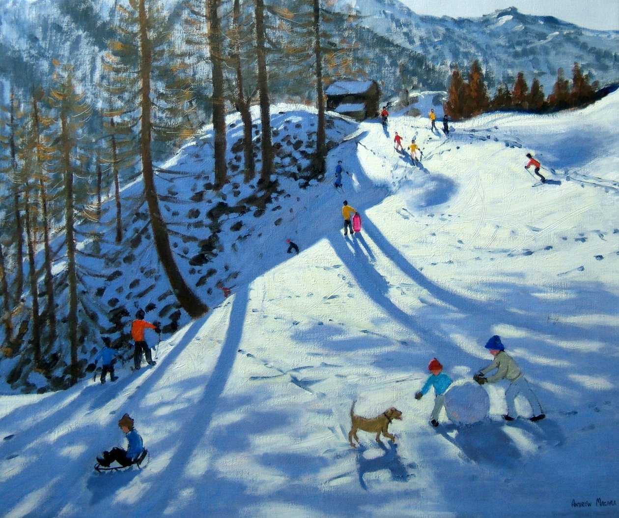 Bola de Neve Grande, Zermatt de Andrew Macara