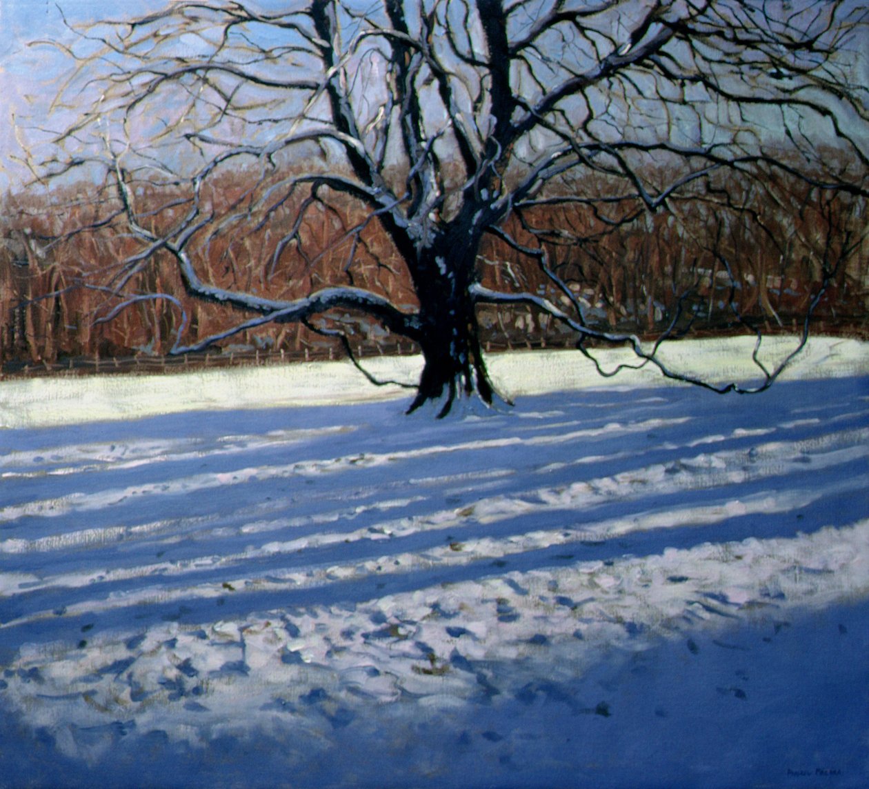 Árvore Grande, Neve, Abadia de Calke de Andrew Macara