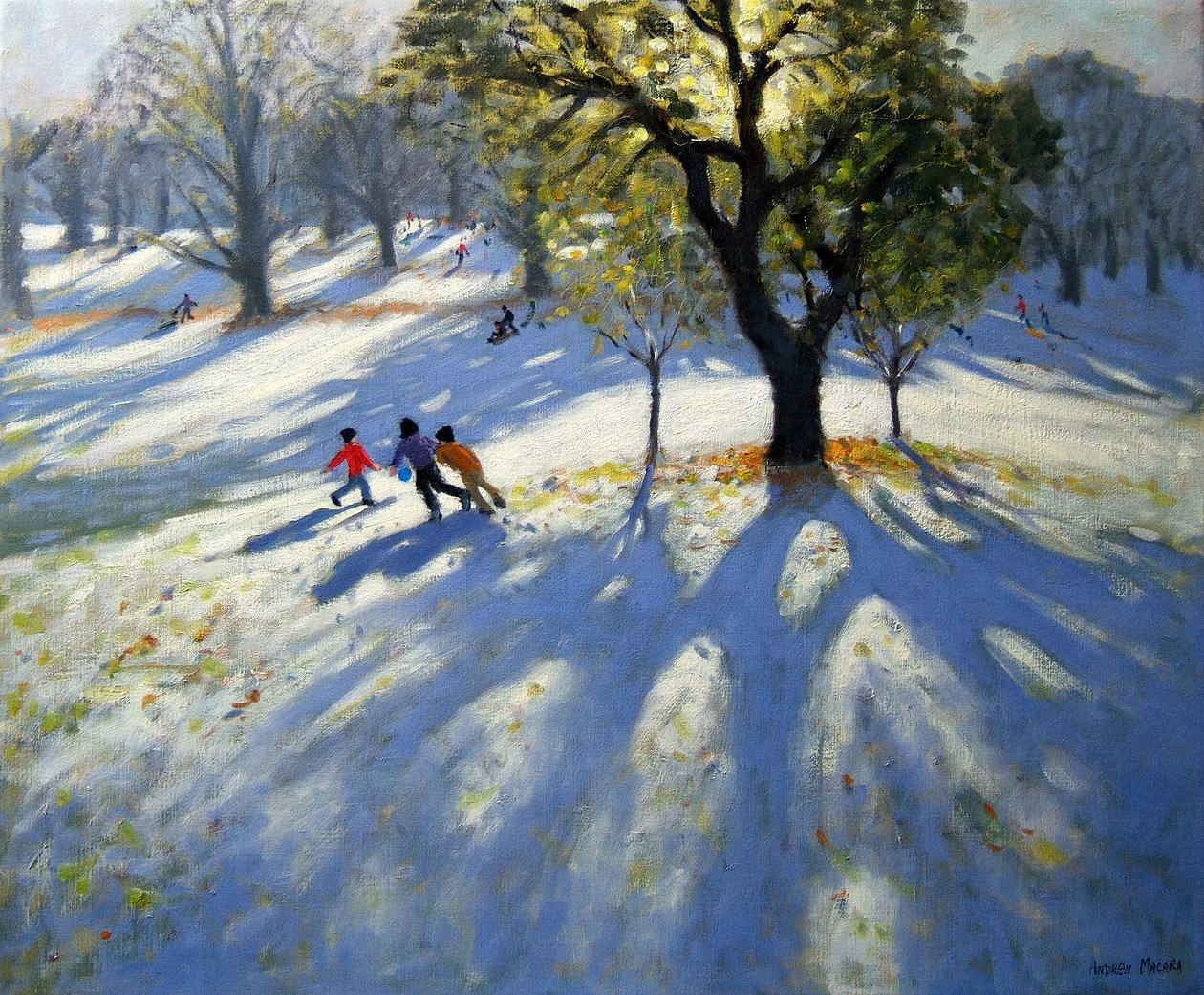 Markeaton Park, neve adiantada de Andrew Macara