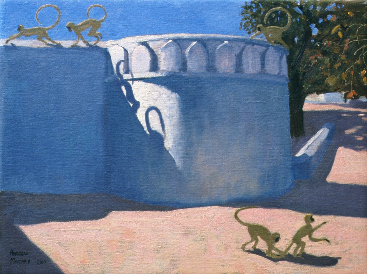 Templo do macaco, Índia, 2000 de Andrew Macara
