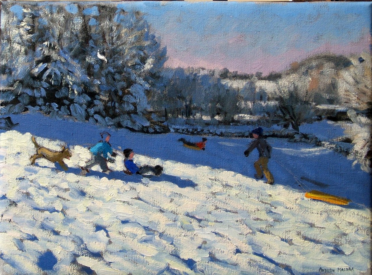 Sledging perto de Youlgreave, Derbyshire de Andrew Macara