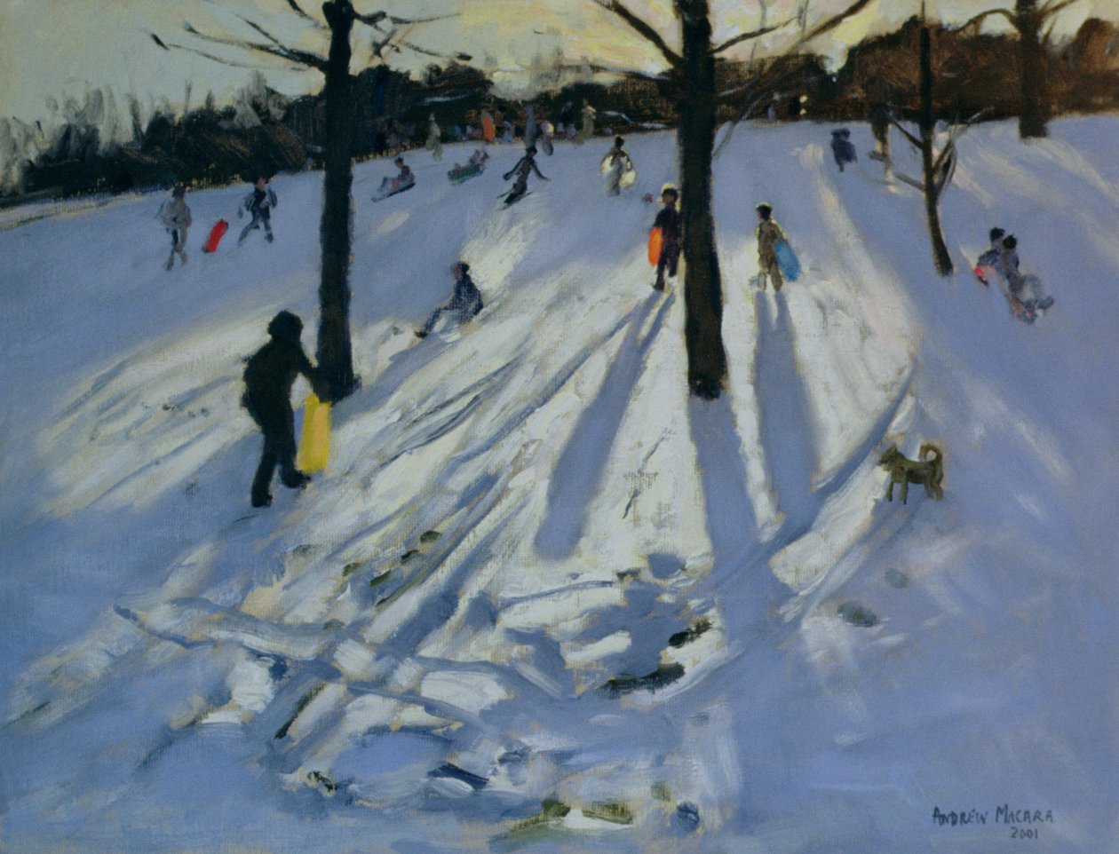 Neve, Rykneld Park, Derby, 2001 de Andrew Macara