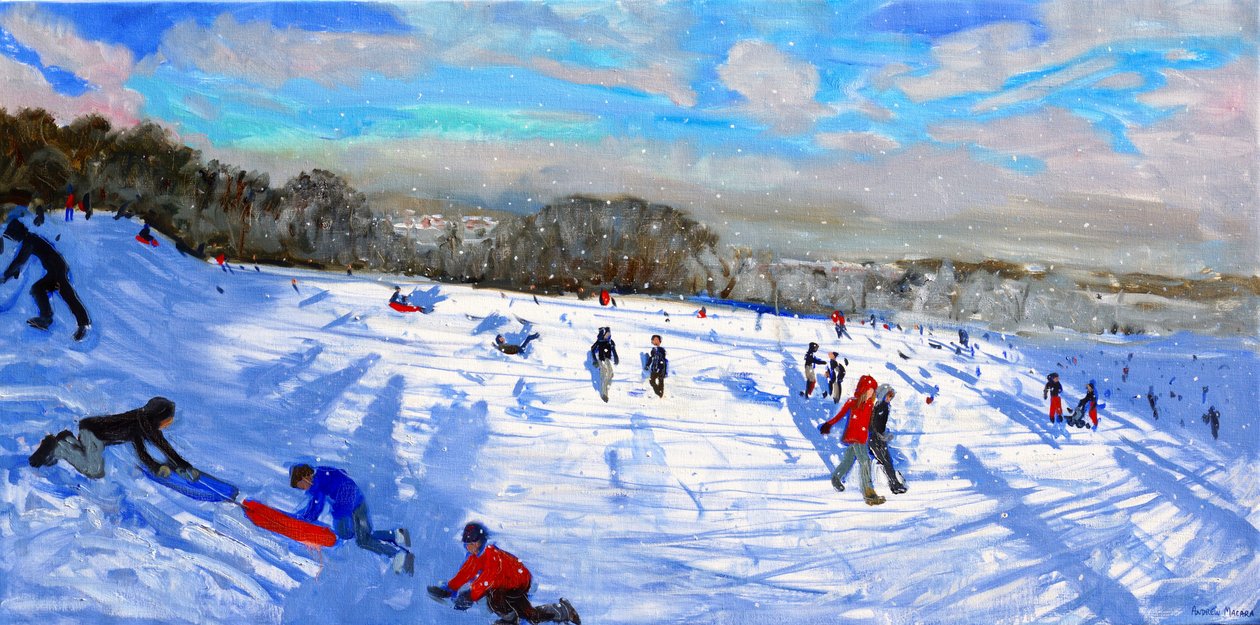Flurryes de neve, Allestree Park, Derby. de Andrew Macara