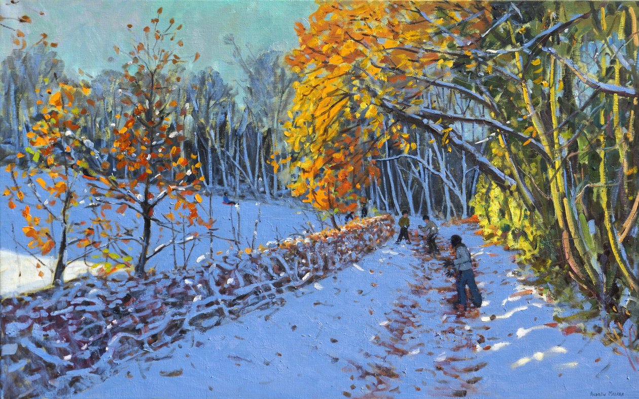 Snowballing, Parque Allestree, Derby, 2014 de Andrew Macara