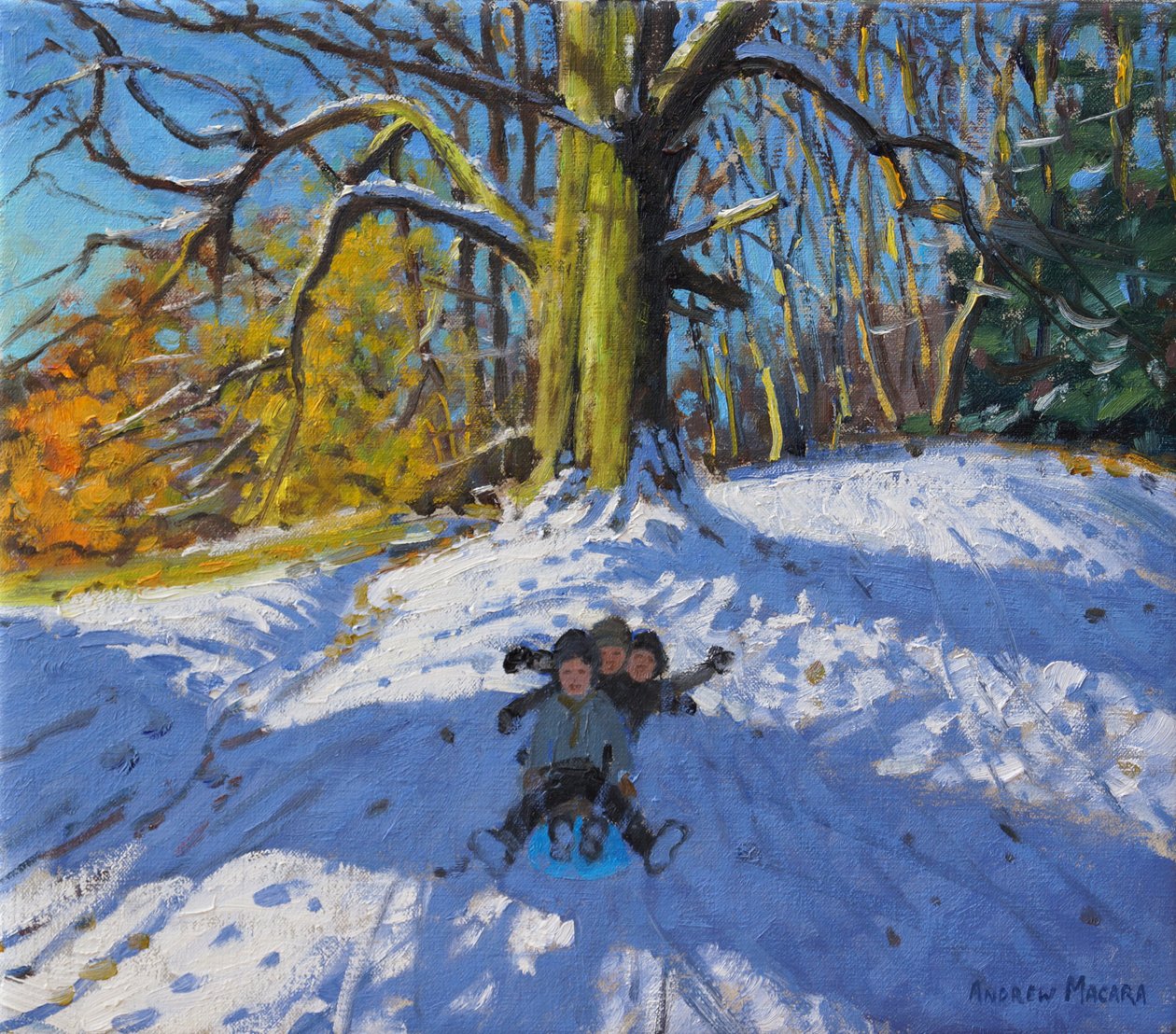 Três em um trenó, Allestree Park Derby .2014, de Andrew Macara
