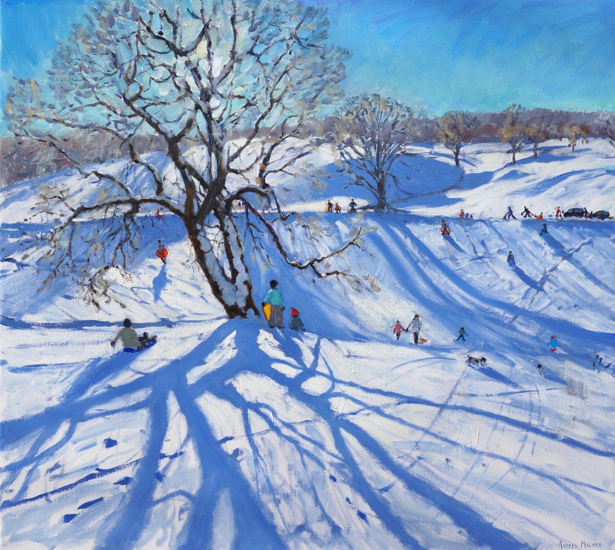 Tobogganers, Chatsworth, 2012 de Andrew Macara