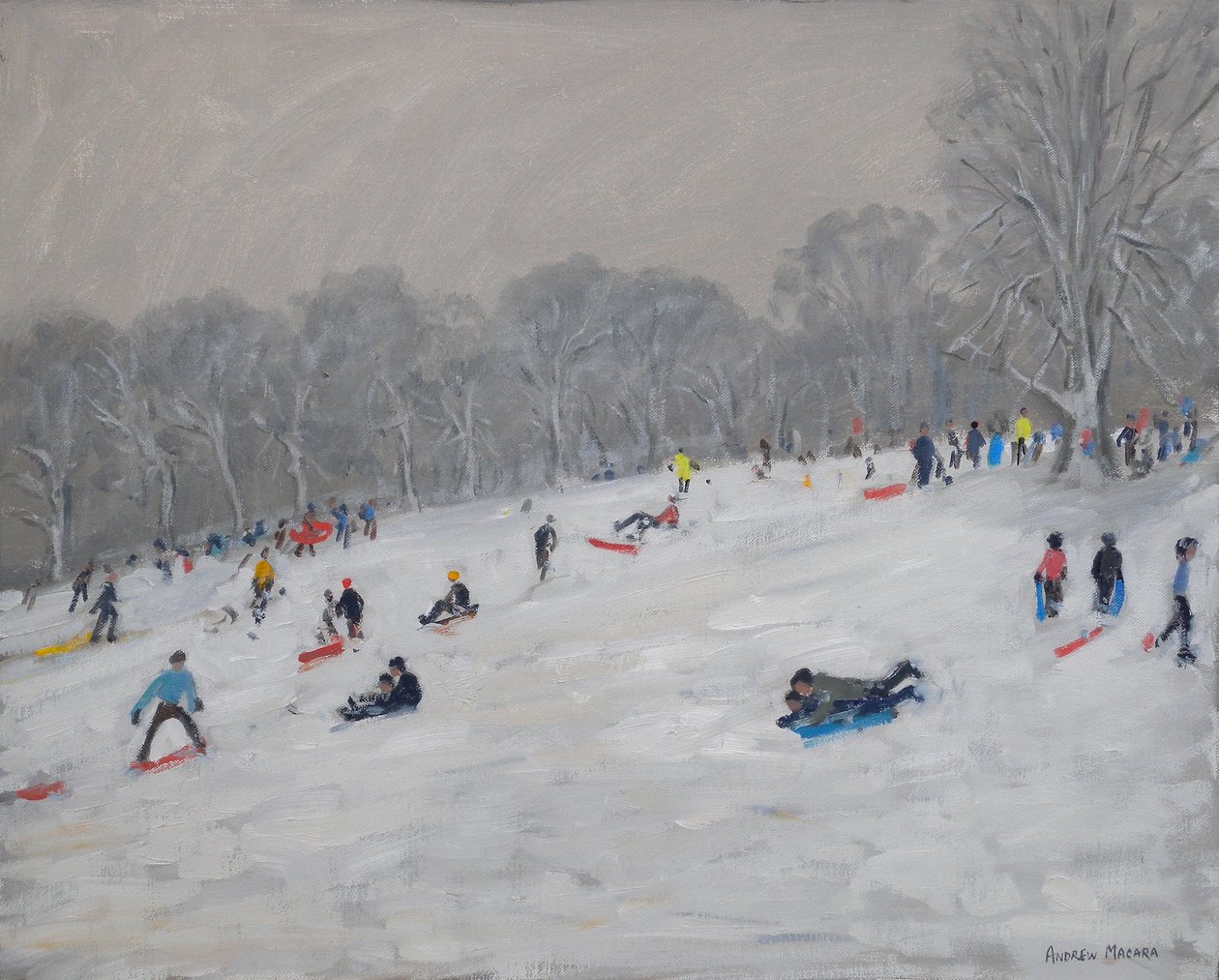 Inverno, Darley Park, 2009 de Andrew Macara