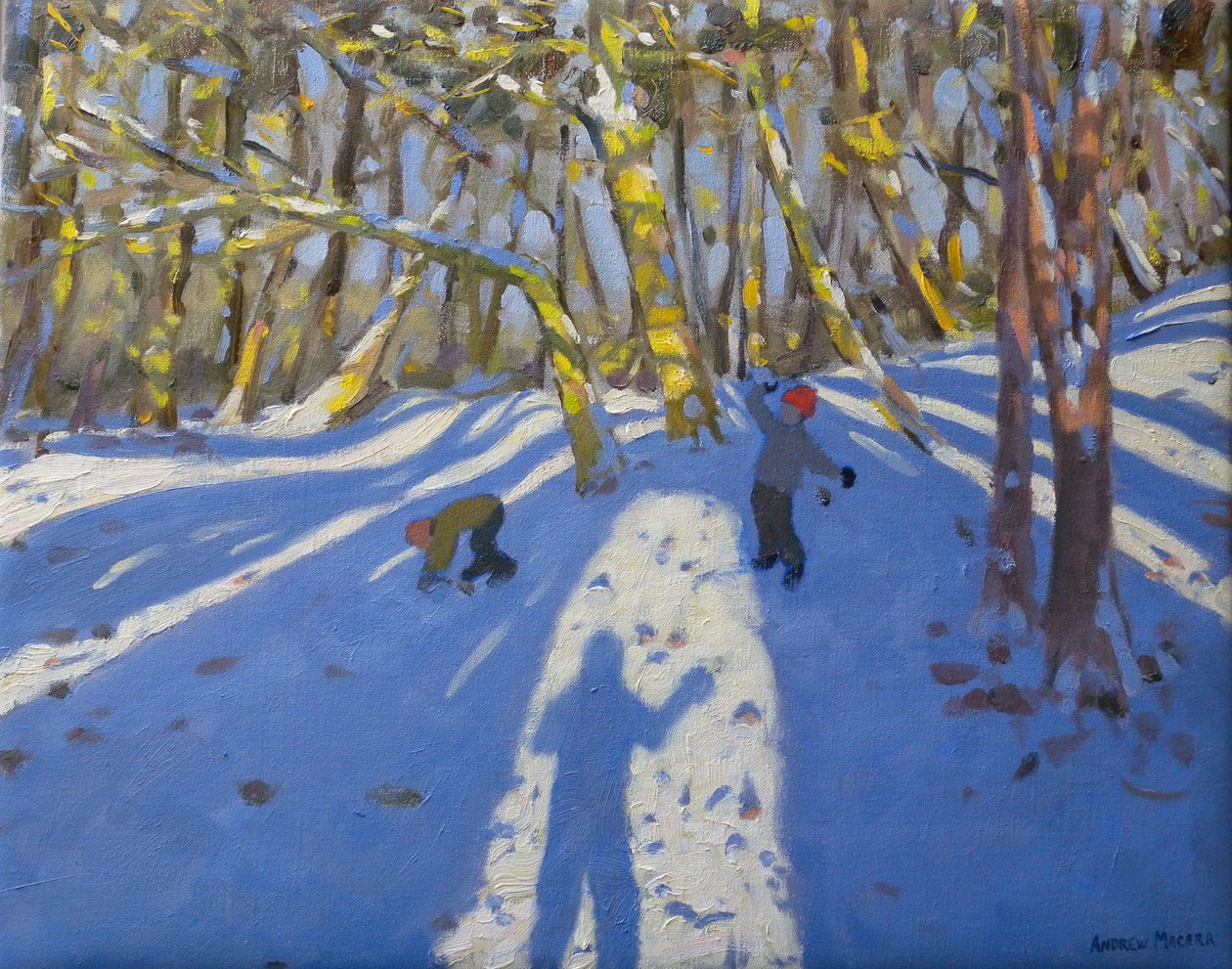 Castelo de inverno Elvaston, 2008 de Andrew Macara