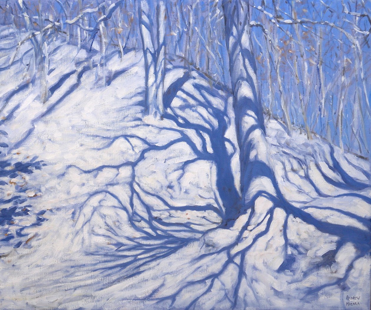 Inverno Woodland, perto de Courcheval, 2008 de Andrew Macara