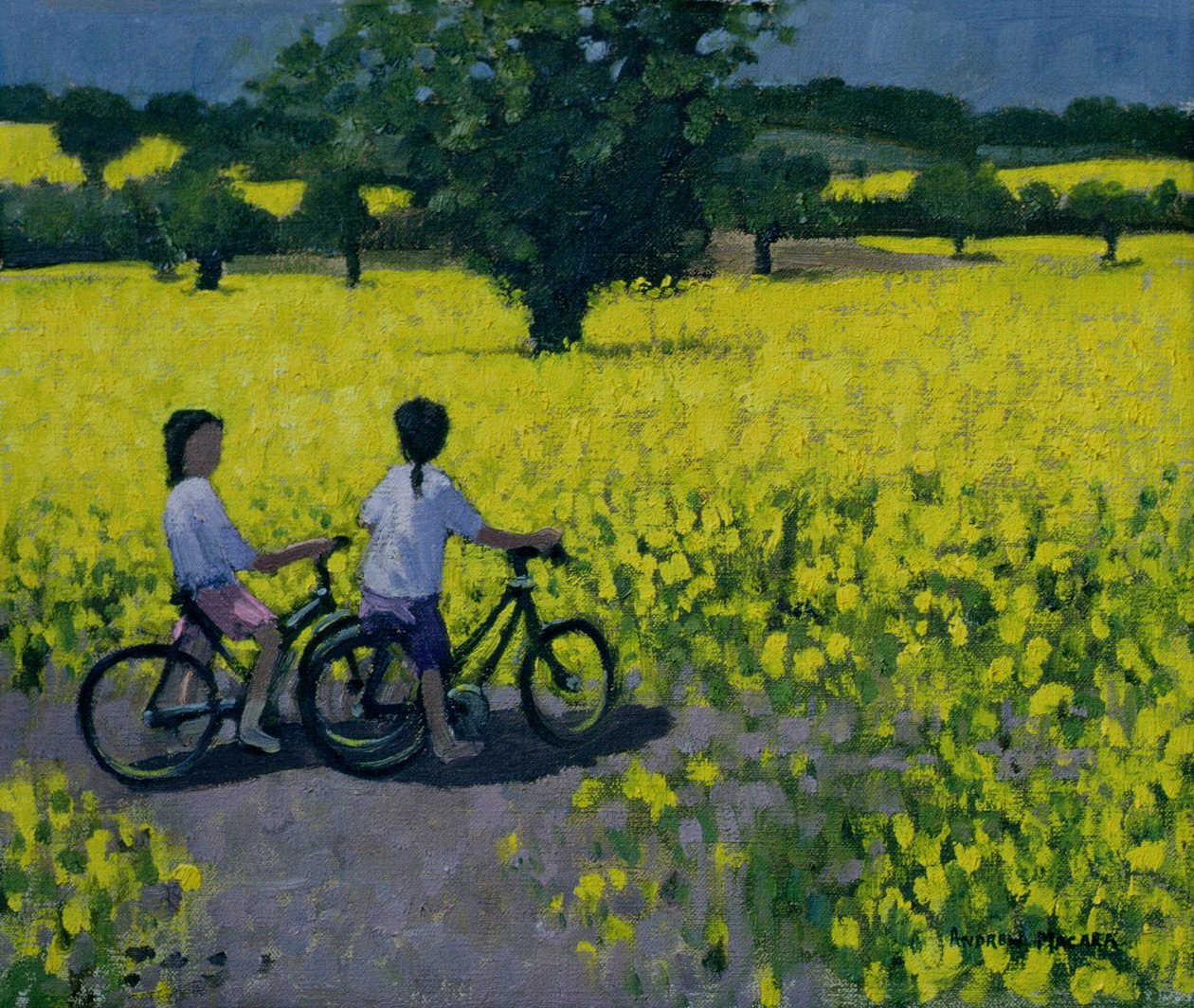 Campo Amarelo, Kedleston, Derby de Andrew Macara