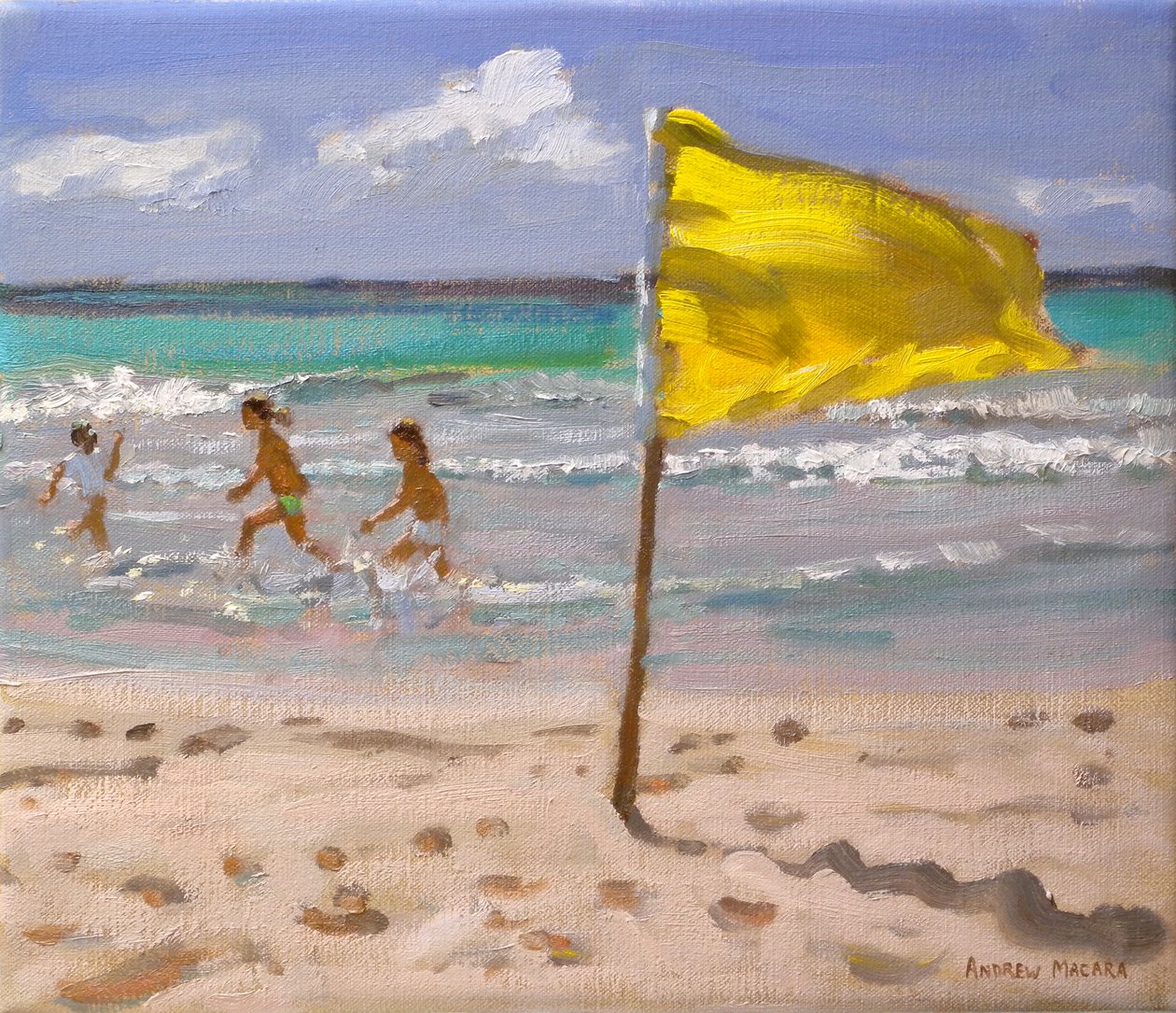 Bandeira amarela, Barbados, 2010 de Andrew Macara