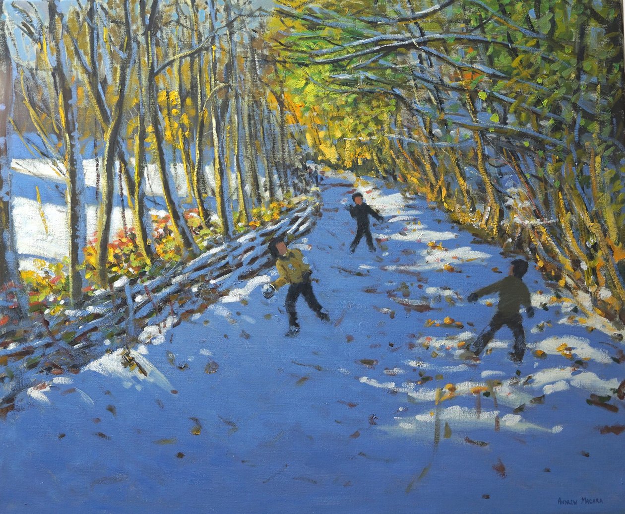 Árvores amarelas, Allestree Park, 2012 de Andrew Macara
