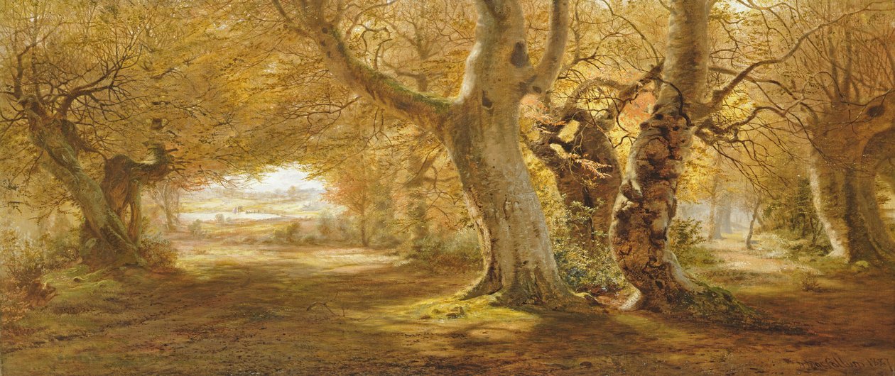 Uma paisagem arborizada, 1887 de Andrew McCallum