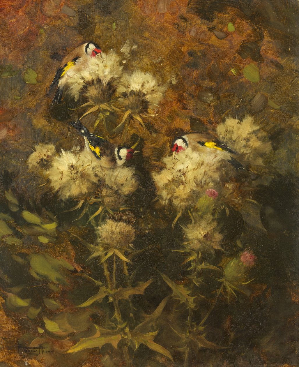 Alimentando Pintassilgos de Andrew Allan
