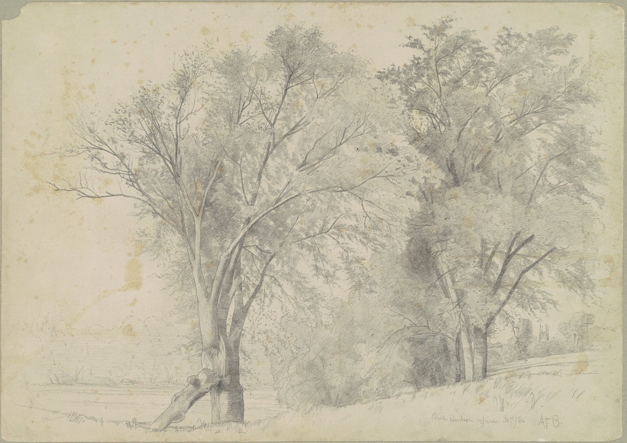 Elms, Hudson de Andrew Fisher Bunner