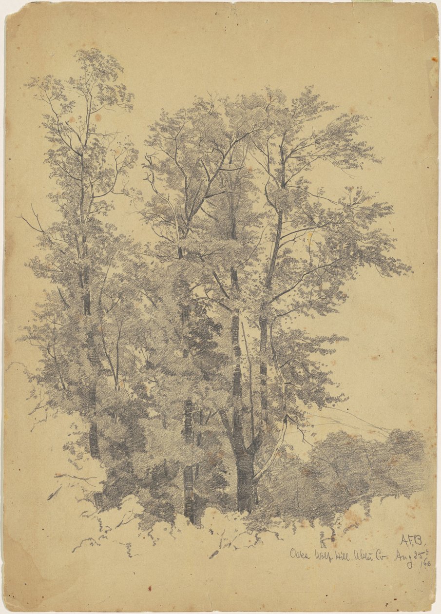 Oaks, Wolf Hill, Condado de Ulster de Andrew Fisher Bunner