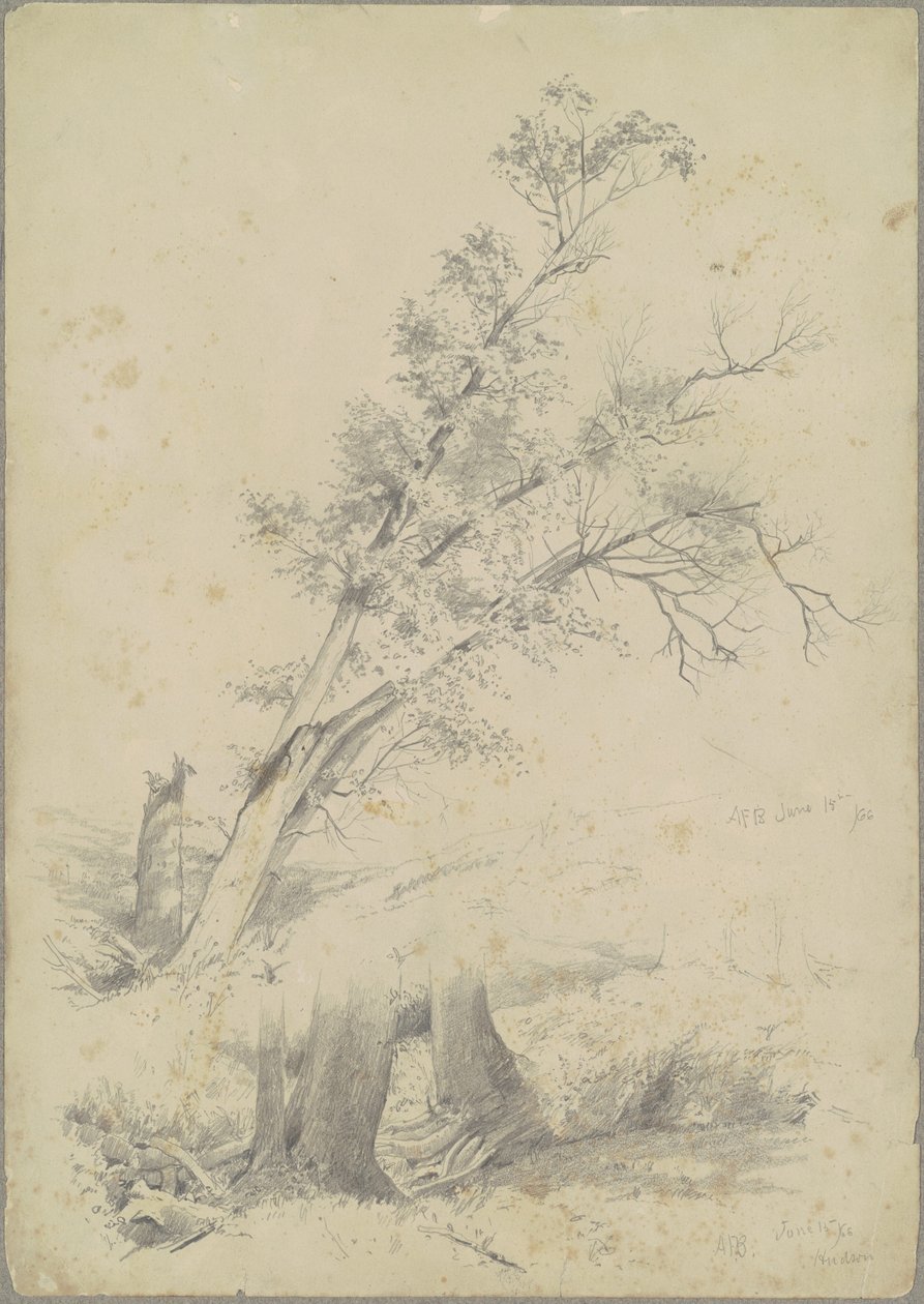 árvores, Hudson de Andrew Fisher Bunner
