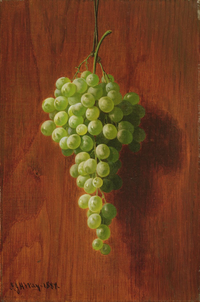 Uvas (verde), 1884 de Andrew John Henry Way