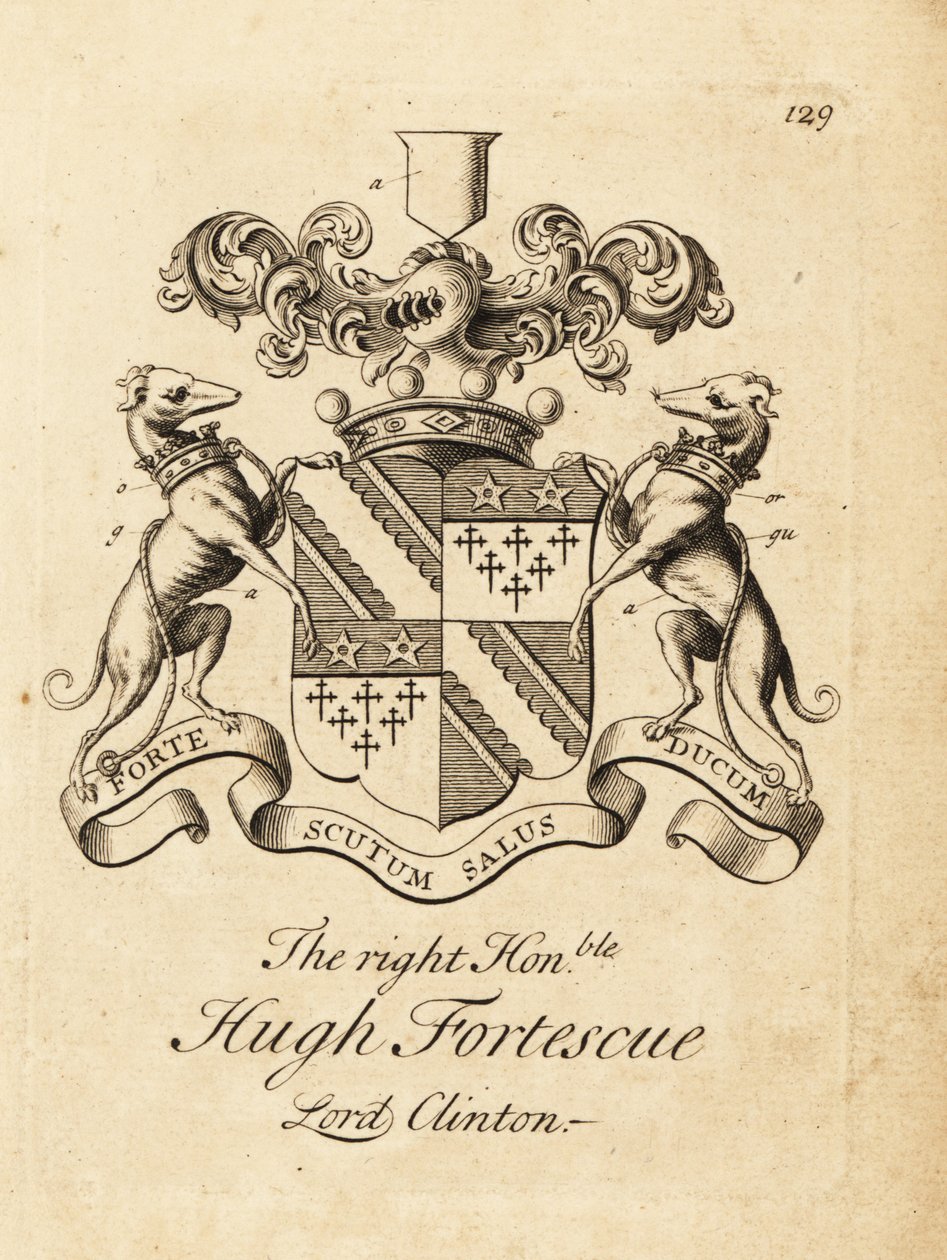 Escudo de armas do Honorável Hugh Fortescue de Andrew Johnston
