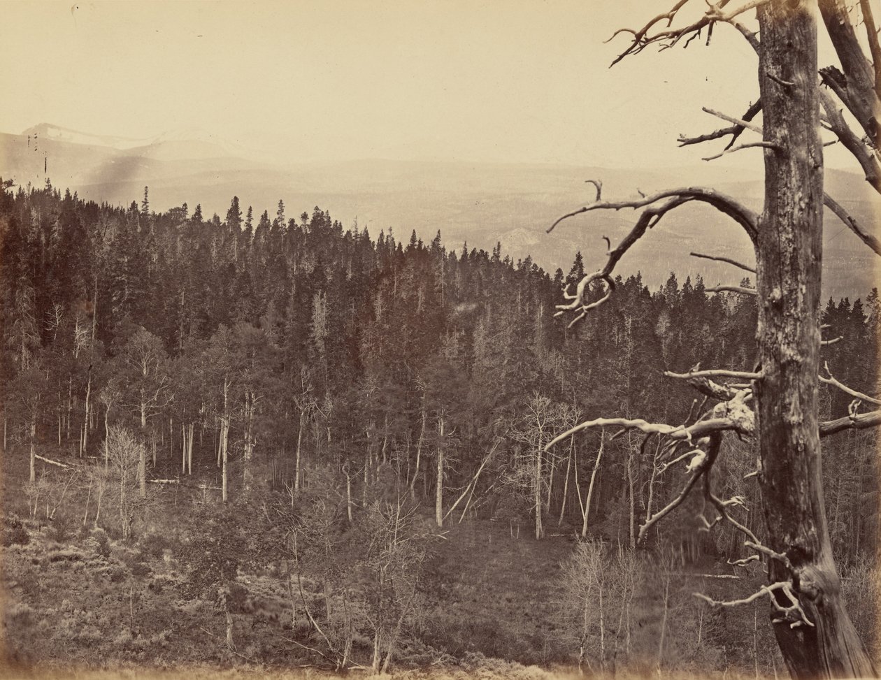 Placa 13. Linha de neve e madeira, Montanhas Laramie, 1869 (foto) de Andrew Joseph Russell