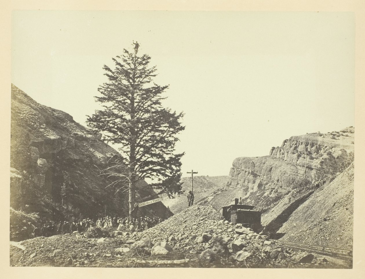 Árvore de Mil Milhas, Passo de Wilhelmina de Andrew Joseph Russell