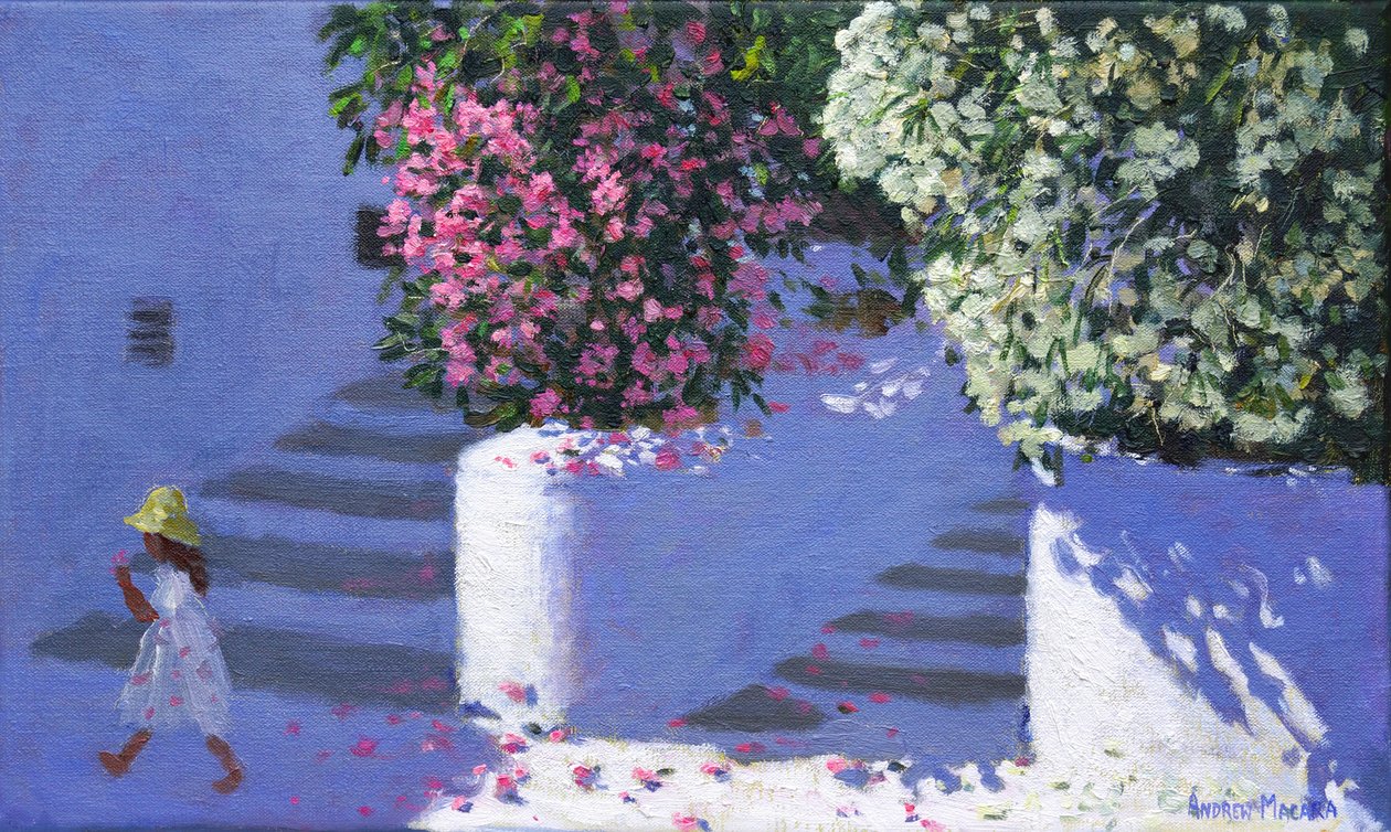 Bougainvillea, Anandas, Milos, Ilhas Gregas, 2017, de Andrew Macara