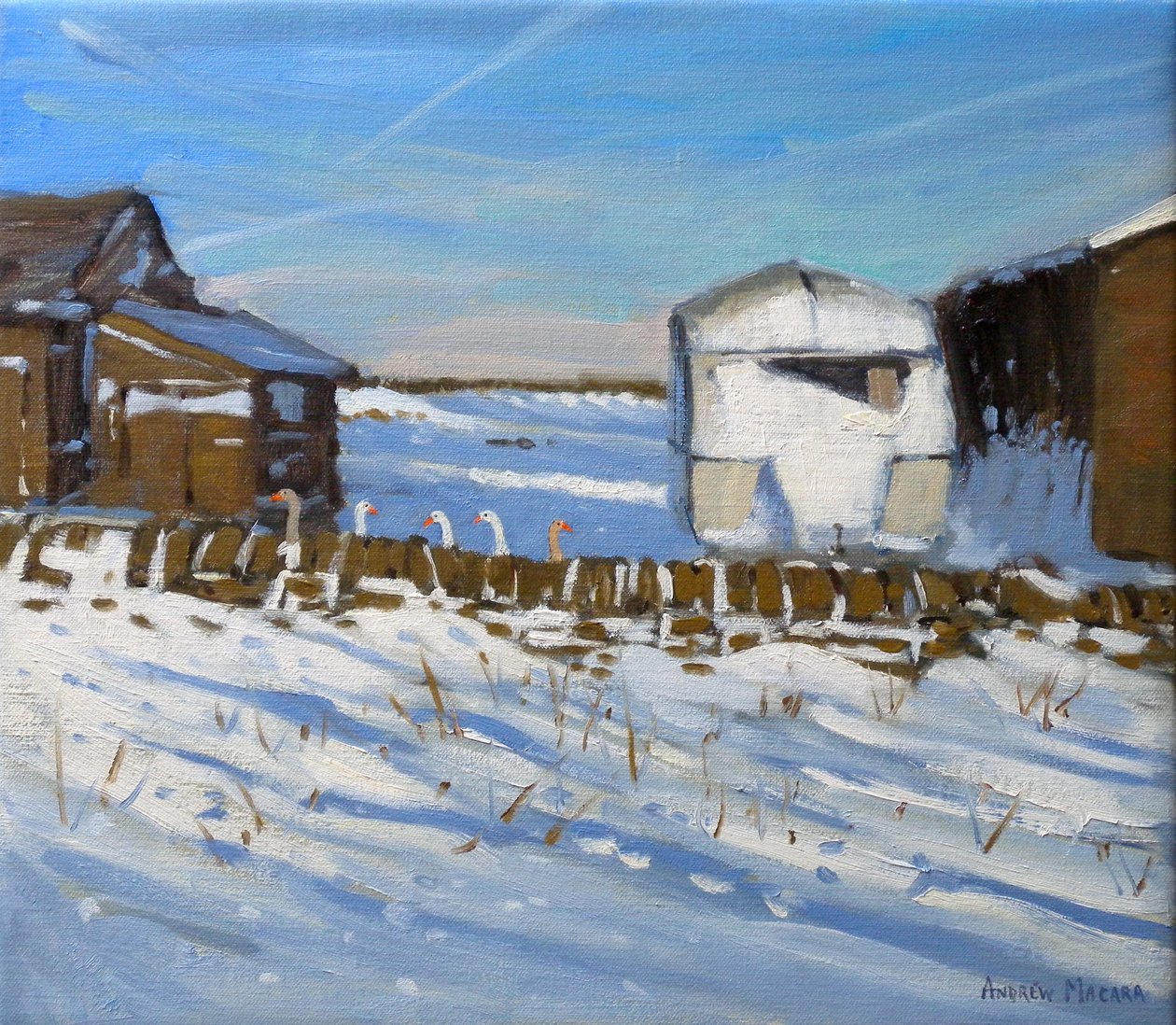 Caravana e Gansos, Derbyshire, 2011 (óleo sobre tela) de Andrew Macara