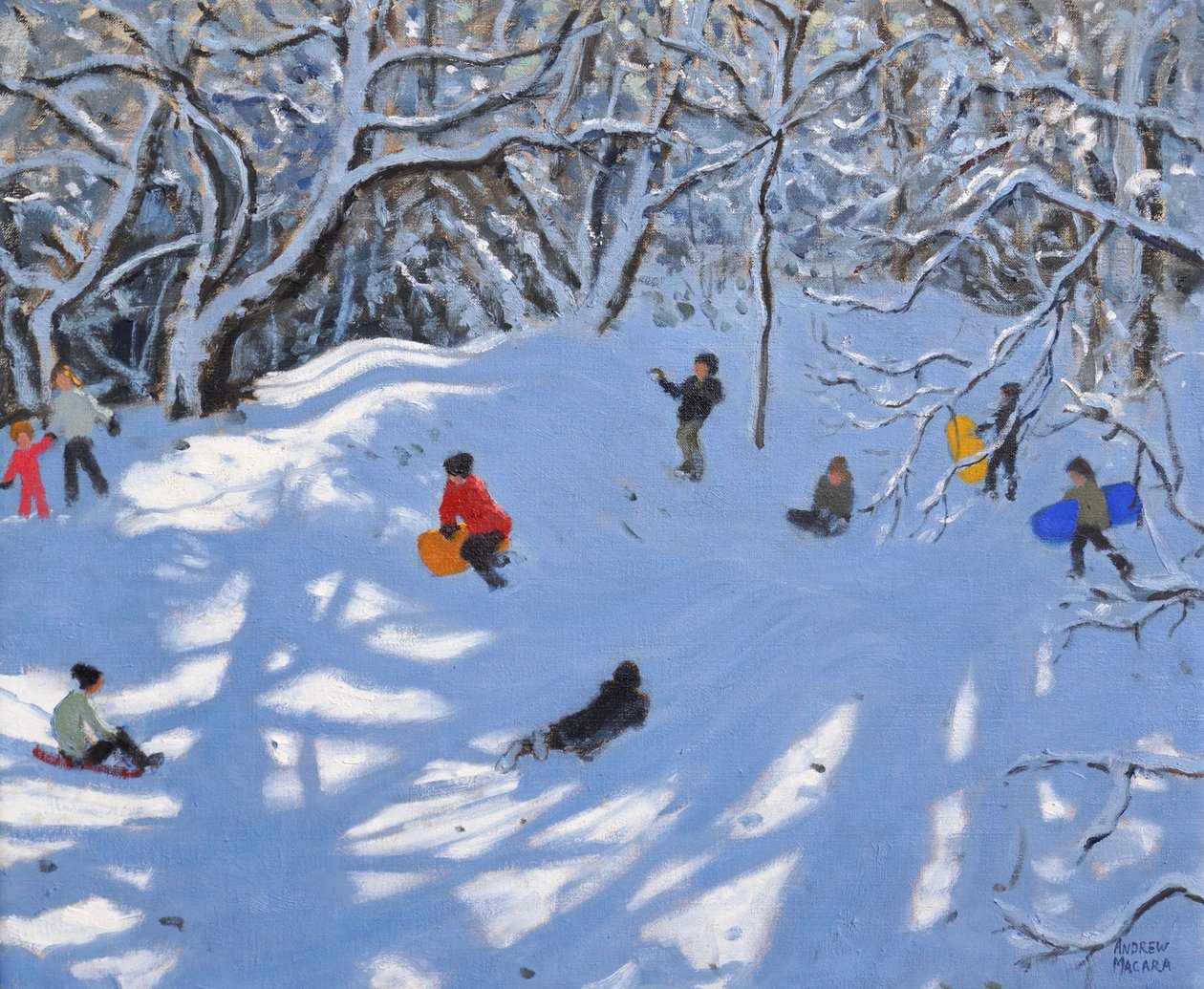 Natal, Allestree Woods, Derby, 2017, de Andrew Macara