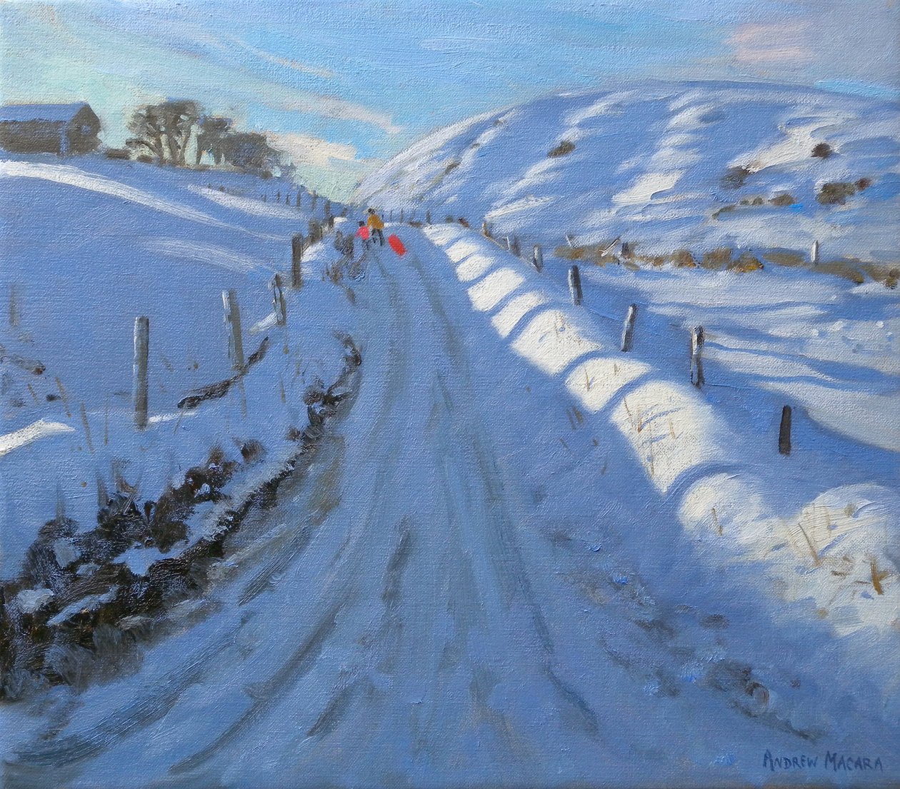 Dovehead, 2011 (óleo sobre tela) de Andrew Macara