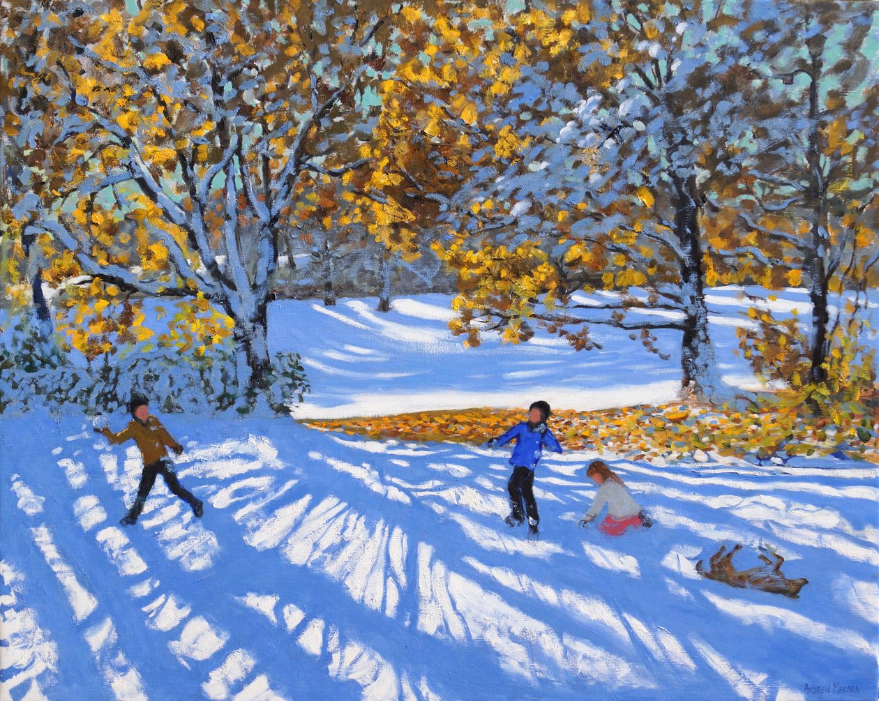 Neve adiantada, Allestree Park. 2017, de Andrew Macara