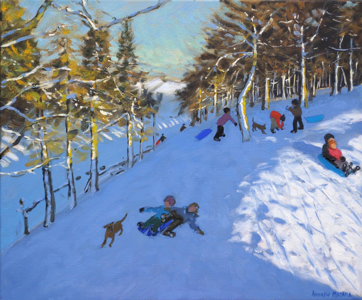 Família de trenó, Youlgreave, Derbyshire. 2016, de Andrew Macara