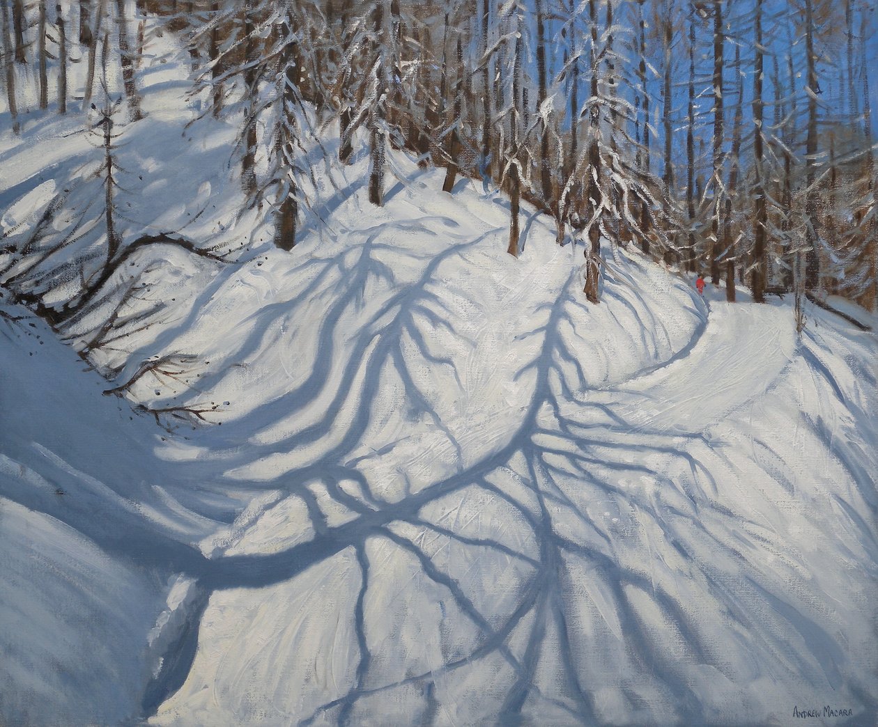 Sombras do abeto, Tignes, 2009 de Andrew Macara