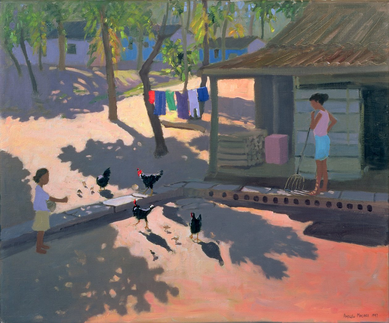 Galinhas e Galinhas, Cuba, 1997 de Andrew Macara
