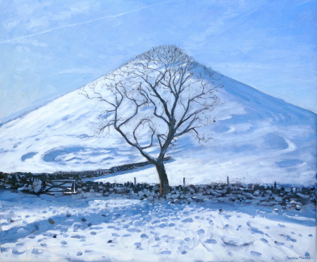 Colina e Árvore, Derbyshire, 2008 de Andrew Macara