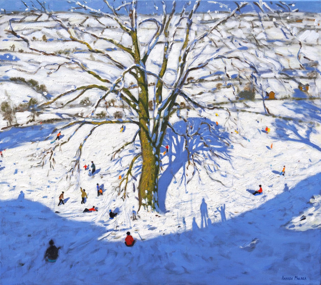 Encosta, elton, perto, Rowsley, Chatsworth, Derbyshire (Retrabalhado) 2017 de Andrew Macara