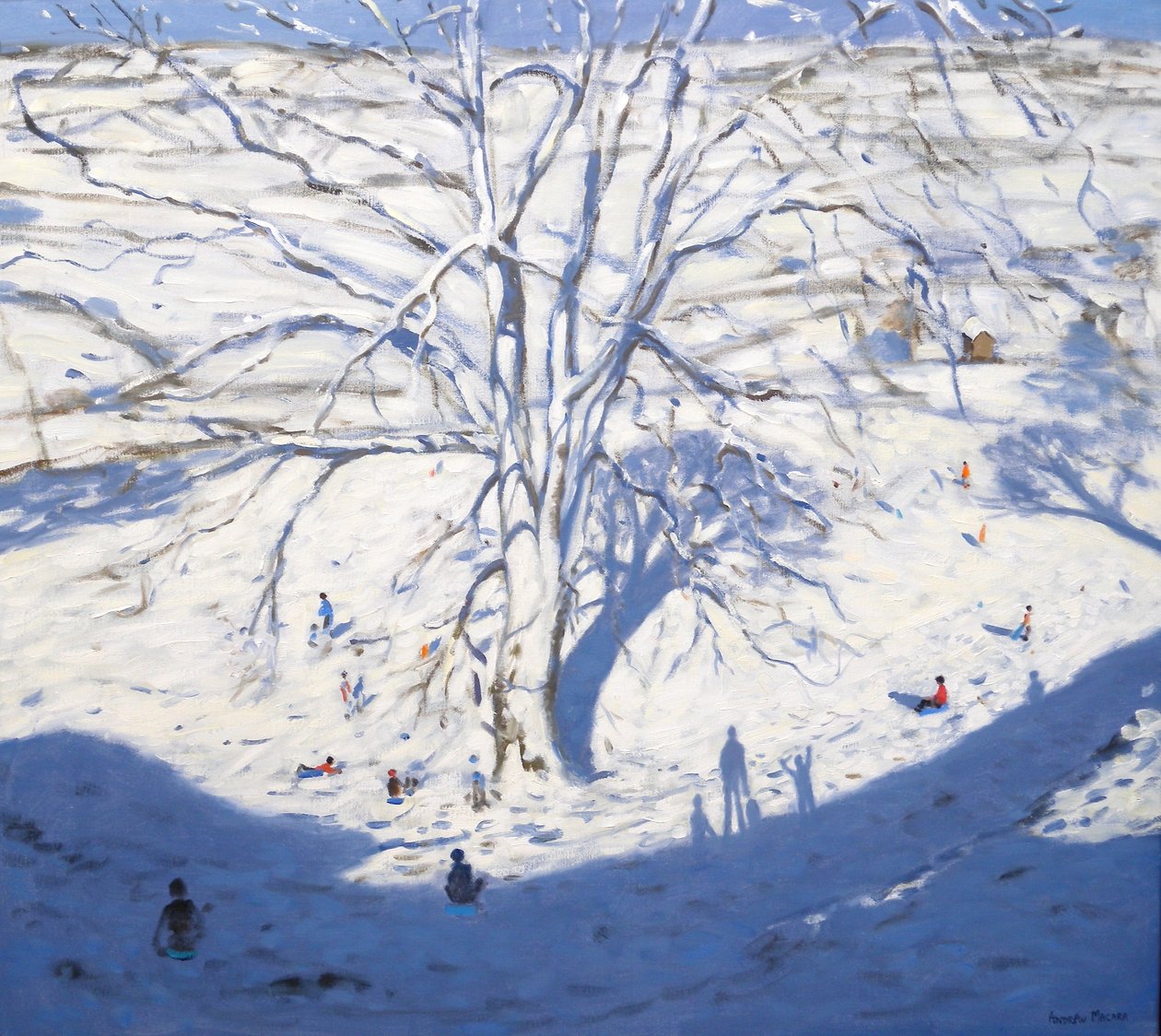 Encosta, elton, perto, Rowsley, 2008 de Andrew Macara