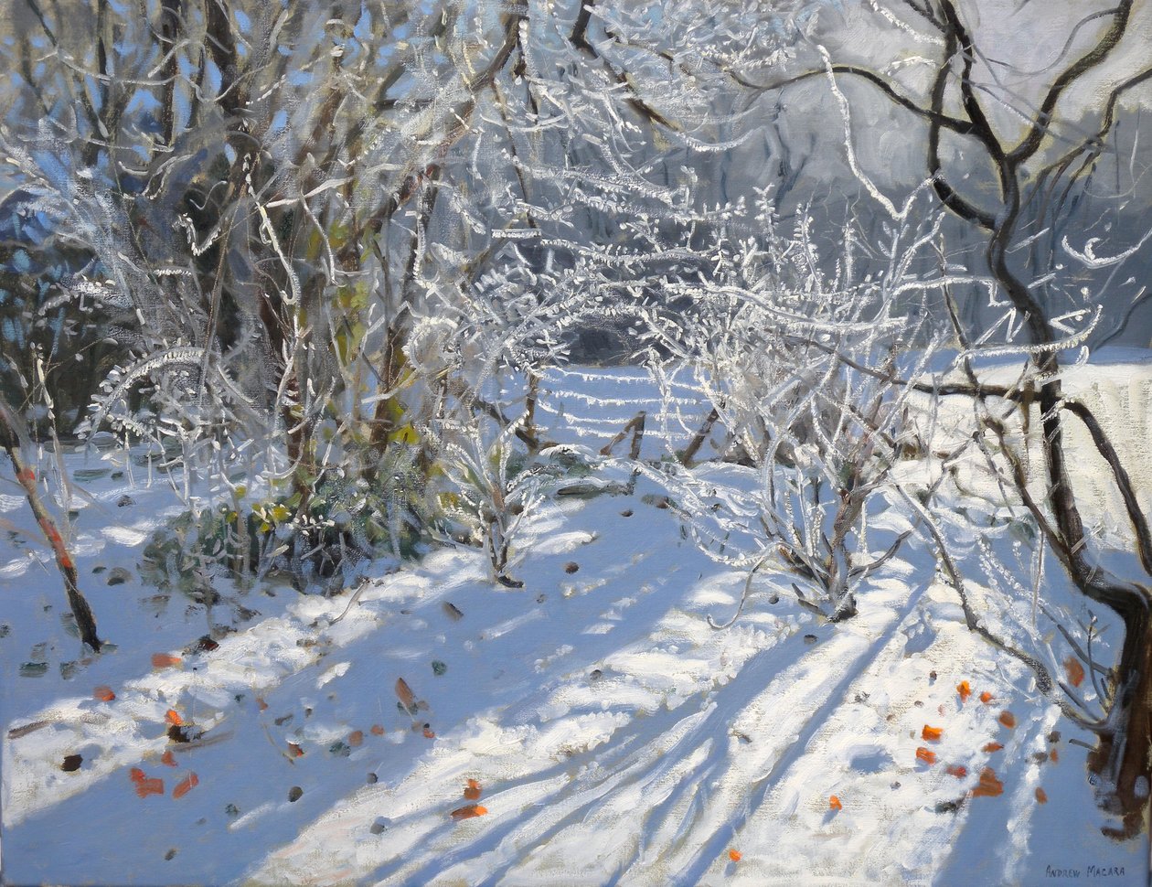 Hoar Frost, 2011 de Andrew Macara